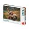 Puzzle 500 db - Csacsi