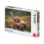 Puzzle 500 db - Csacsi