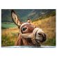 Puzzle 500 db - Csacsi