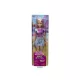 Barbie mysteries: beach detectives Malibu