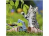 Ravensburger Puzzle 3x49 db - Édes kiscicák