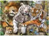 Ravensburger: Puzzle 200 db - Nagymacskák