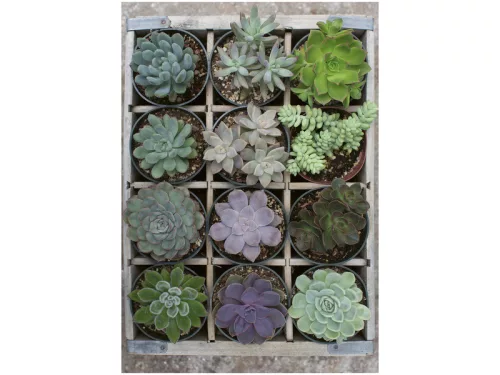 Puzzle 300 db - Zöld
