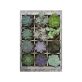 Puzzle 300 db - Zöld