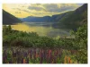 Ravensburger: Puzzle 1000 db - Norvég fjordok