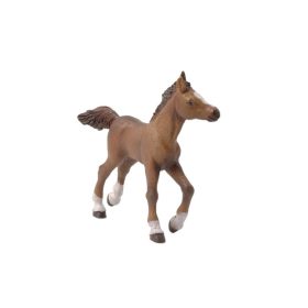 Papo - futó barna csikó
