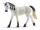 Schleich arab kanca 13908