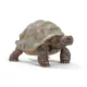 Schleich óriásteknős - 14824