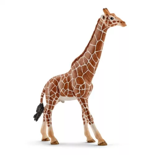 Schleich Zsiráfbika - 14749