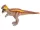 Dinoszaurusz figurák - 6 féle