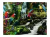Puzzle 2000 db - Színes papgájok a dzsungelban