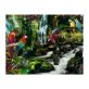 Puzzle 2000 db - Színes papgájok a dzsungelban