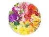 Puzzle kör 500 db - Gyümölcsök