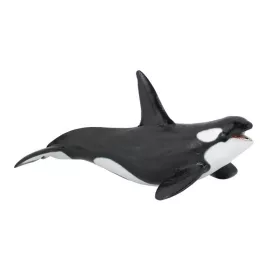 Papo gyilkos bálna 56000