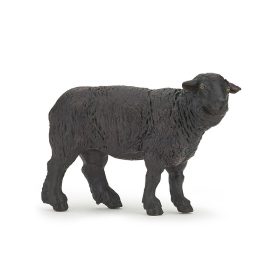 Papo - fekete bárány