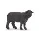 Papo - fekete bárány