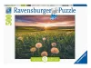 Puzzle 500 db - Pitypang a naplementében