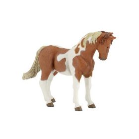 Papo -  foltos kanca ló
