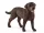 Schleich labrador retriver - 13834