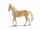 Schleich akhal-teke mén - 13911
