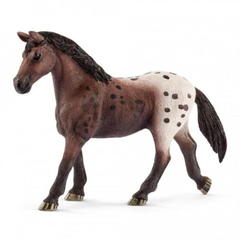 Schleich appaloosa kanca - 13861