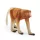 Schleich borneói nagyorrú majom - 14846