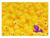 Puzzle 1000 db - Gumikacsák