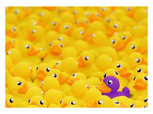 Puzzle 1000 db - Gumikacsák