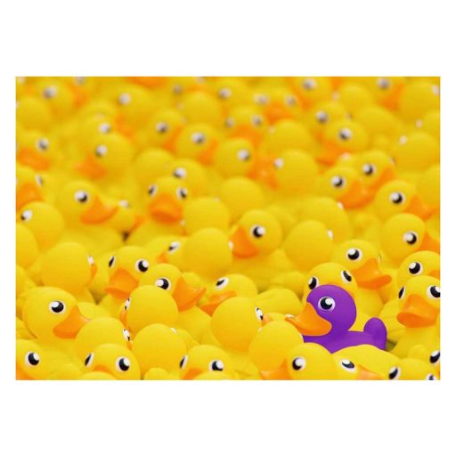 Puzzle 1000 db - Gumikacsák