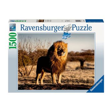 Puzzle 1500 db - Oroszlán az állatok királya