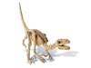 4M dinoszaurusz régész készlet - velociraptor