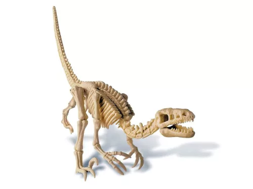 4M dinoszaurusz régész készlet - velociraptor