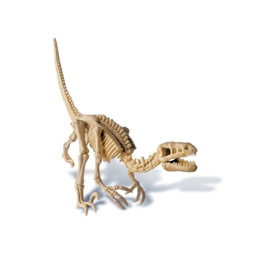 4M dinoszaurusz régész készlet - velociraptor