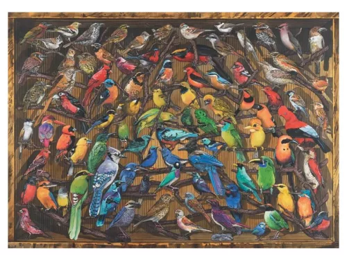 Ravensburger Puzzle 1000 db - Madarak