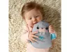Fisher-Price Nyugis rozmárpajti