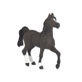 Papo - arab telivér