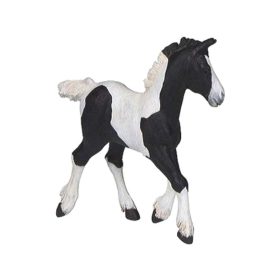 Papo - fekete foltos csikó