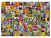 Puzzle 1000 db - 99 méhecske