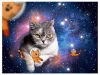 Puzzle 1500 db - Macskák az űrben