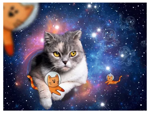 Puzzle 1500 db - Macskák az űrben