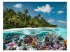 Puzzle 2000 db - Merülj a Maldív-szigeteken