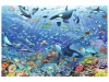 Puzzle 3000 db - Színes víz alatti szórakozás