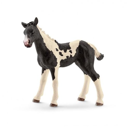 Schleich pinto csikó - 13803