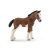 Schleich clydesdale csikó - 13810