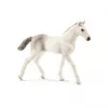 Schleich holstein csikó - 13860