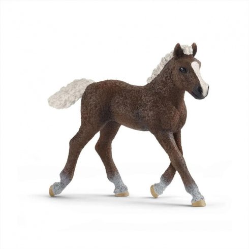 Schleich Schwarzwaldi csikó - 13899