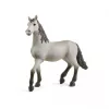 Schleich pura raza espanola csikó - 13924
