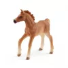 Schleich csikó takaróval - 42361