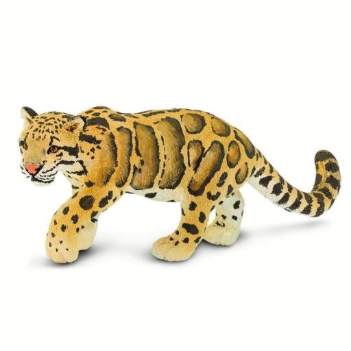 Ködfoltos Párduc - Safari