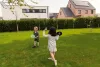 Cathc Ball Ügyességi Játék - Pandák